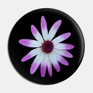 purple flower, blossom, nature,blooms Pin