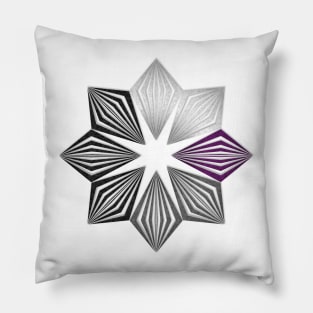 Demisexual Pride Flag Colored Geometric Starburst Pillow