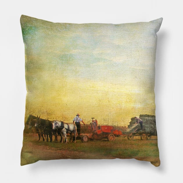 Golden Inspiration Pillow by Susan Werby