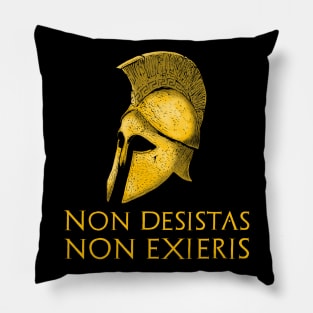 Motivational & Inspiring Ancient Greek & Roman Latin Quote Pillow