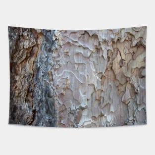 The Bark of a Tree Tapestry