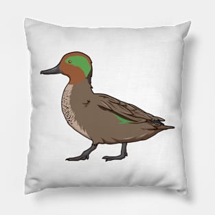 Drawing of Eurasian Teal Pillow