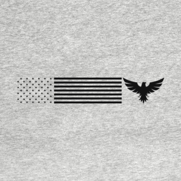 Discover US Flag - Us Flag - T-Shirt