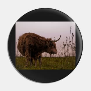 Scottish Highlander Pin