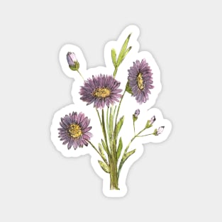 Purple Aster Flowers Watercolor Painting Magnet