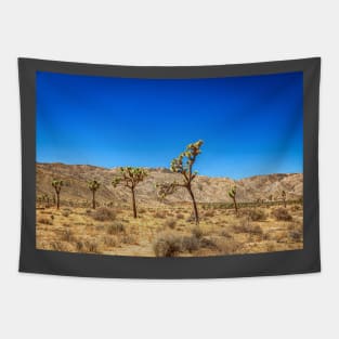 Joshua Tree National Park, California Tapestry