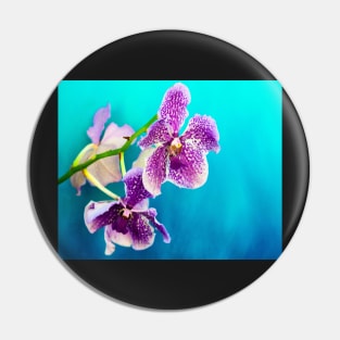 Orchid photography Pin