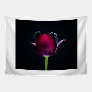 GardenTulip 8 Tapestry