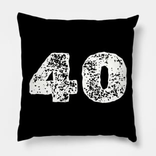 40 Pillow
