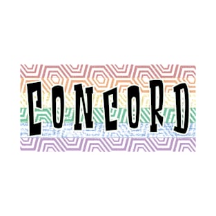 LGBTQ PATTERN AMERICA CONCORD T-Shirt