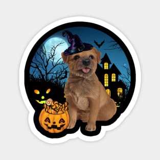 Happy Halloween Border Terrier Dogs Halloween Gift Magnet