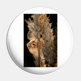 Harvest Mouse on Ear of Corn Pin