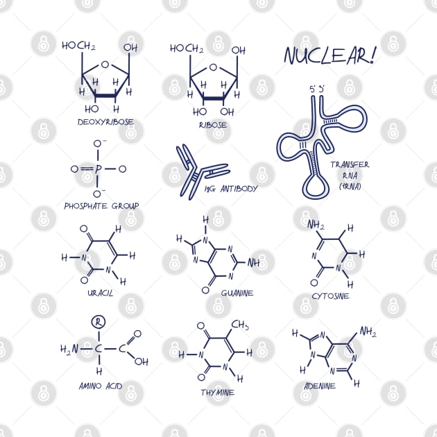 Nucleic Acid and Protein Structures by squidego