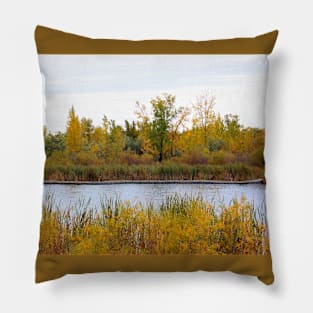 Autumn Pond No.2 Pillow