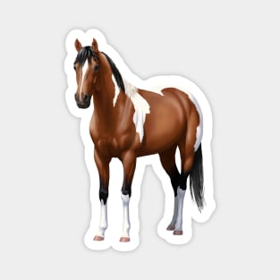 Brown Bay Quarter Horse Pinto Paint Horse Stallion Magnet