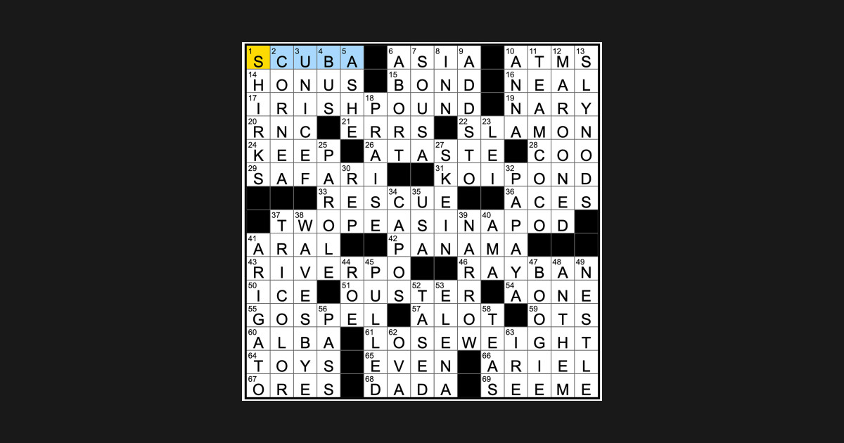 Spot on a crossword clue Spot On A Crossword Clue T Shirt TeePublic