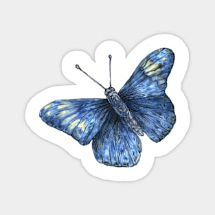 blue butterfly Magnet