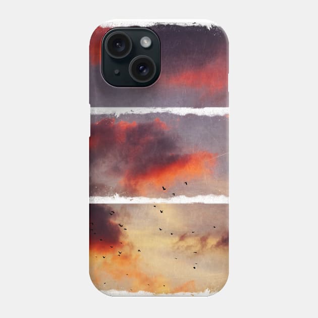 Evening Clouds and a Flock of Birds Phone Case by DyrkWyst