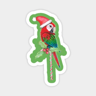 Green wing macaw Christmas style Magnet