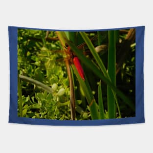 Red dragonfly Tapestry