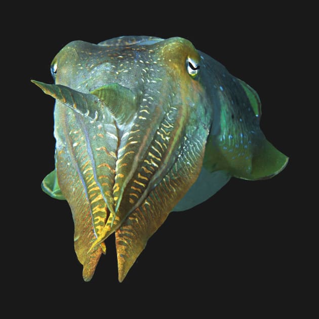 Octopus | Underwater Art iridescent sepia | by Ute-Niemann