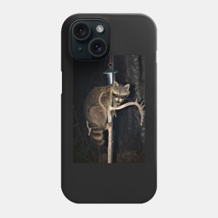 Night Bandit comes calling Phone Case