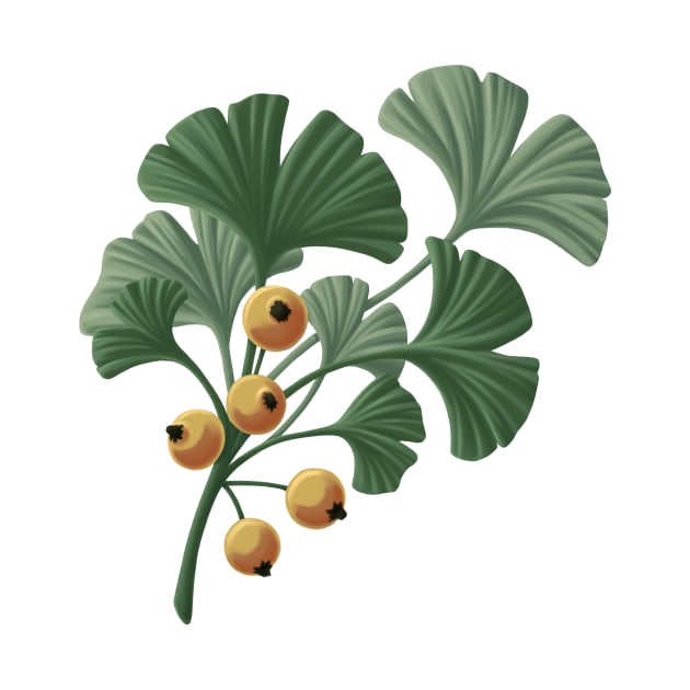 Ginkgo with berries by Dawn draws