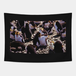Royal Penguins Nesting in the Rookery Tapestry