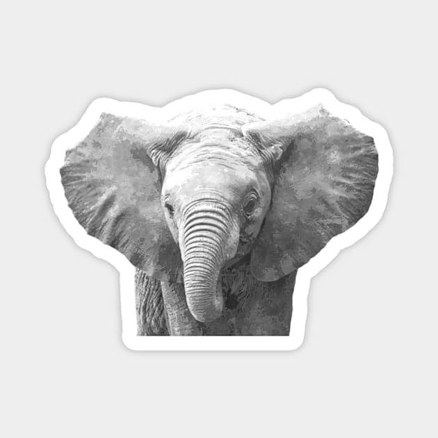 Black and White Baby Elephant Magnet by Alemi