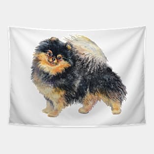 Pomeranian Tapestry