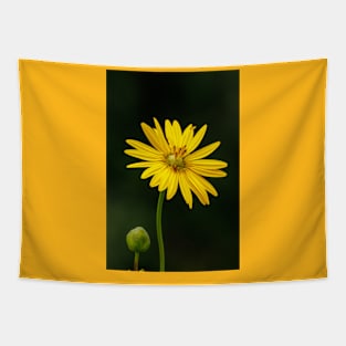 Prairie flower Tapestry