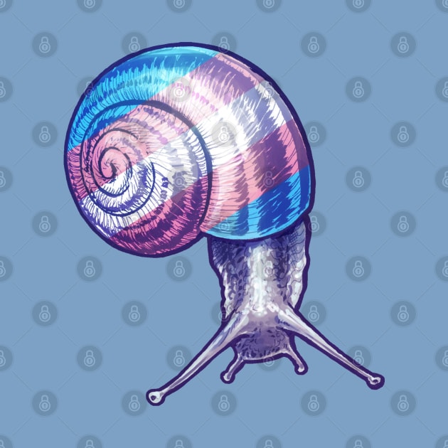 Trans Snail by Merdet