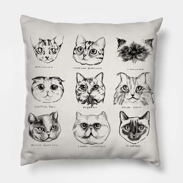 Cat Breeds of the Universe Pillow by sketchboy01