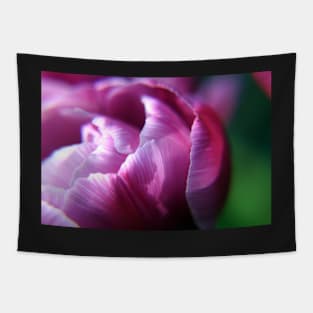 Pink Tulip flower petals Tapestry