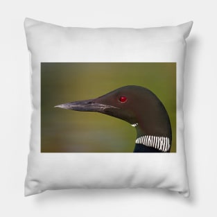 Common Loon profile Pillow