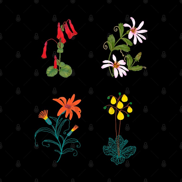 Mountain and forest illustrated wildflowers on black by agus.cami