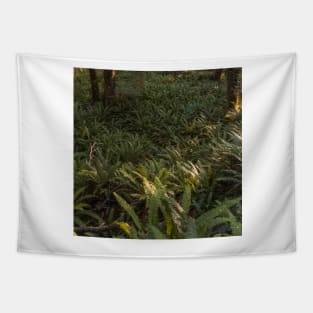 Forest Floor Covered with Ferns Tapestry