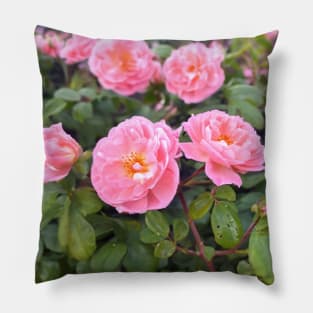 Photorealistic Roses - Rose Garden Pillow