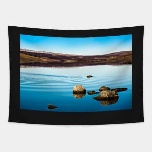 Cow Green Reservoir Tapestry