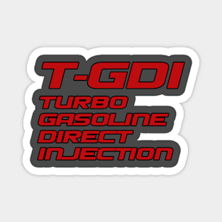 T-GDI (1) Magnet