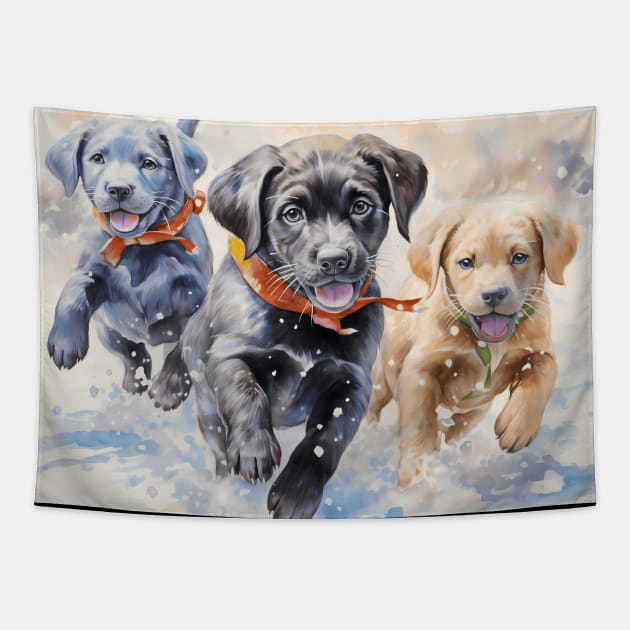 Silver golden retriever puppies sales