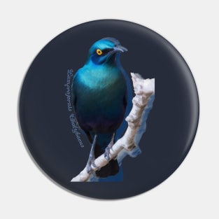 Greater blue-eared starling Pin