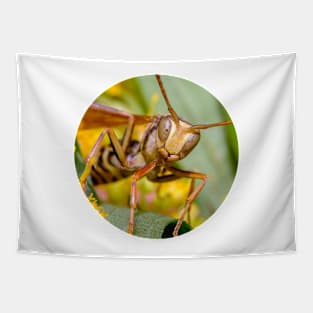 Paper Wasp Macro Photograph Tapestry