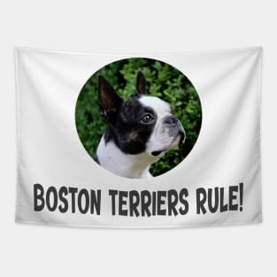 Boston Terriers Rule! Tapestry