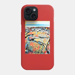 Cyber Beach Boulders Phone Case