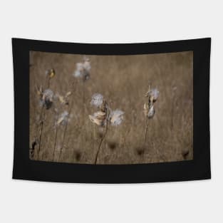 Milkweed seedheads Tapestry