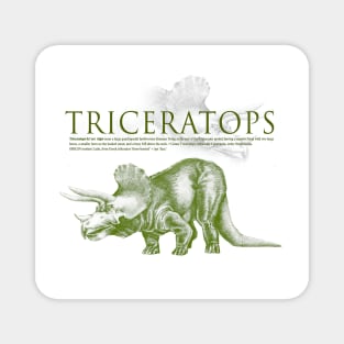 Triceratops Magnet