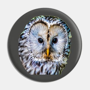 Realistic color pattern - eyes and head of an owl Pin