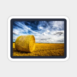 Harvest Time on The Lincolnshire Wolds Magnet