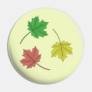 Colored maple leaves. Pin